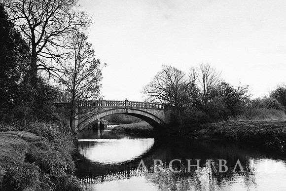 231_IMG_9463